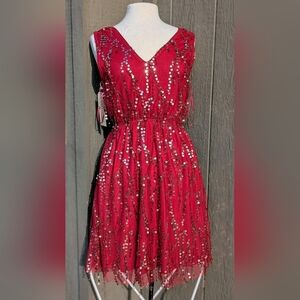 New Southern Fried Chics Sequin Dress Size Large